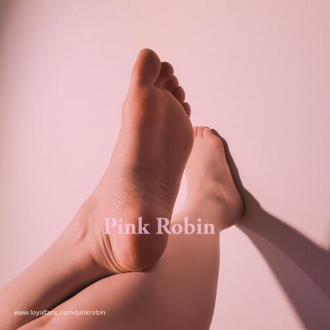Pink Robin avatar