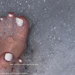 FindomFootGodess avatar