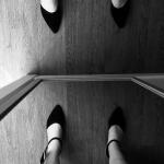 Stomping Ground avatar