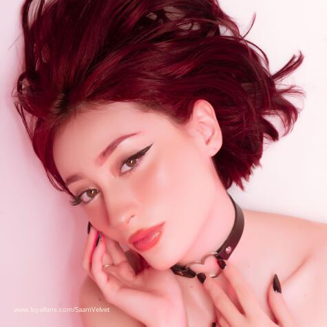 SaamVelvet avatar