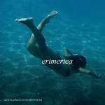 piedierimerica avatar