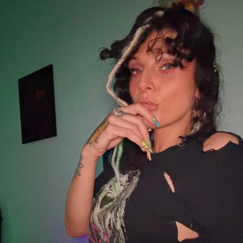 DMTease avatar