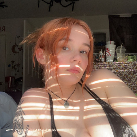 Princess Fennec avatar