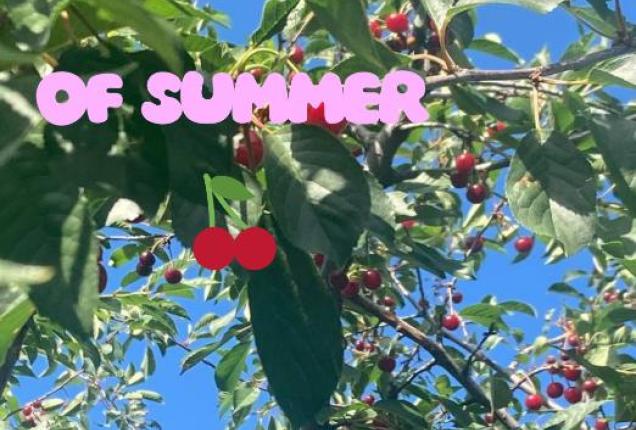 For me, the symbols of July are warmth 30+ C, currants, cherries