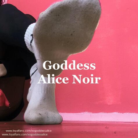 xoGoddessAlice avatar