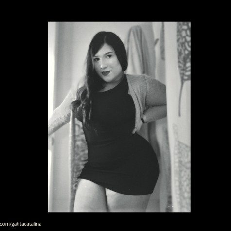 Gatita catalina avatar