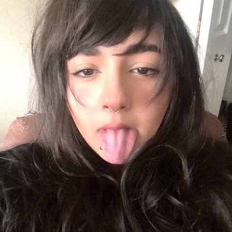 4spedkittykat avatar