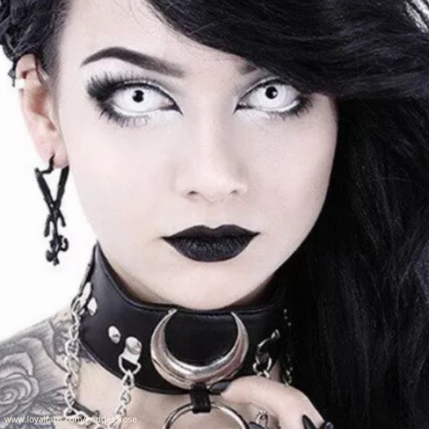 DaisyLee avatar