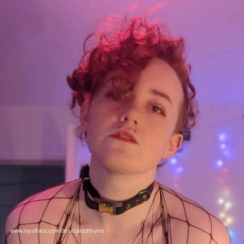 candied thyme avatar