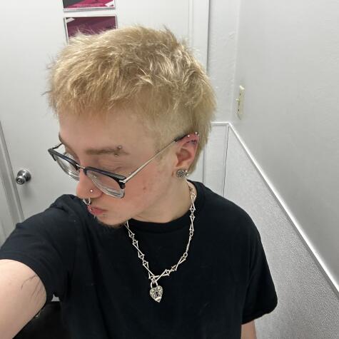 decomp_pup avatar