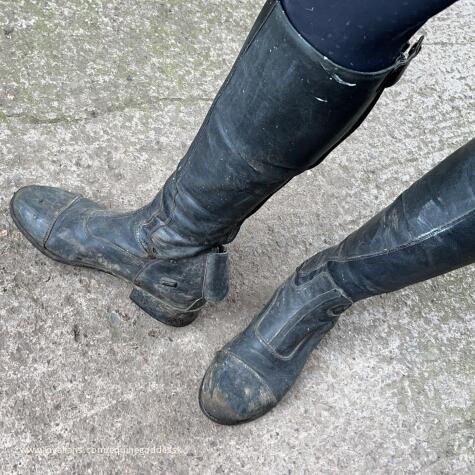 equine goddess k avatar