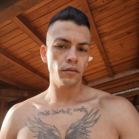 Totygringo avatar
