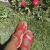 Alana Brooks avatar