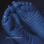 WRINKLES OCEAN avatar