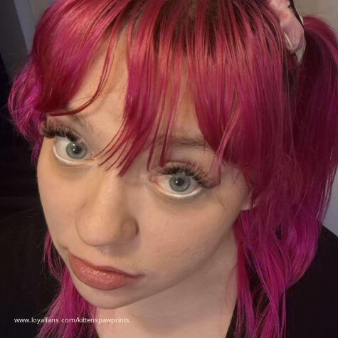 kittensPawprints avatar