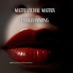  House Of Sinn  avatar