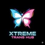 xtremetranshub avatar
