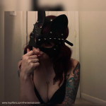 The Vixen Assassin avatar