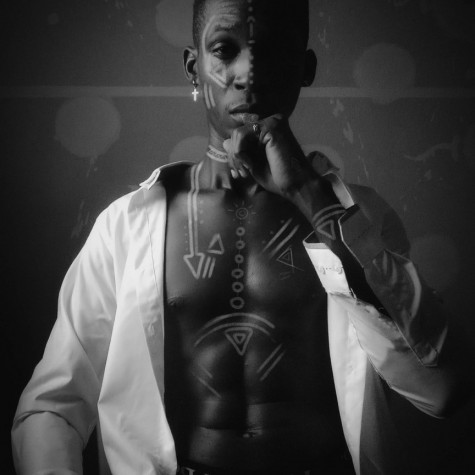 Chocolate stallion avatar