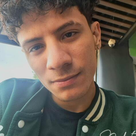 LeoFenix avatar