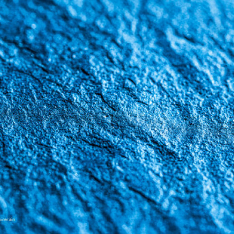 Sapphire Rain avatar