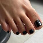 Lady Sole avatar