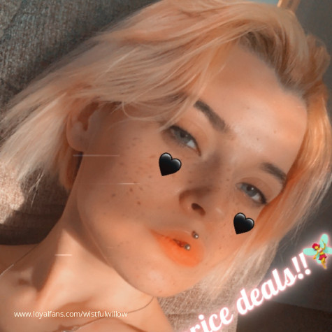 WistfulWillow avatar