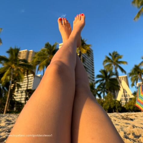 Lexi Toes avatar