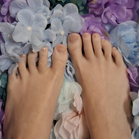 xTipToeTeaserx avatar