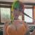 Bunny Gore XXX avatar