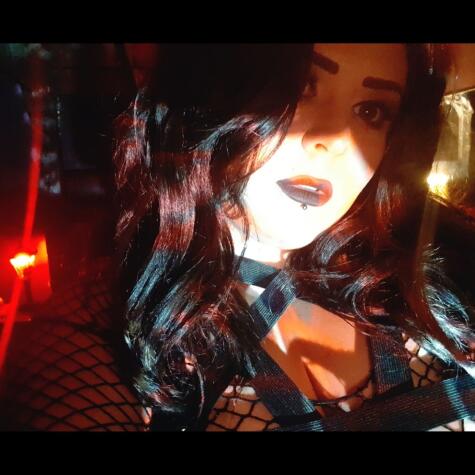 Bunnytylerr avatar