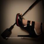 mistress metamorph  avatar