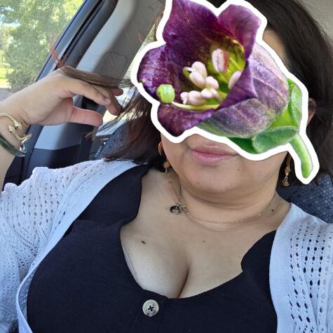 lunaBelladonna8 avatar