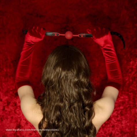 TheTrueVelvetGoddess avatar