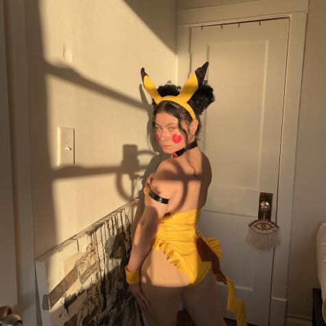Strelizia avatar