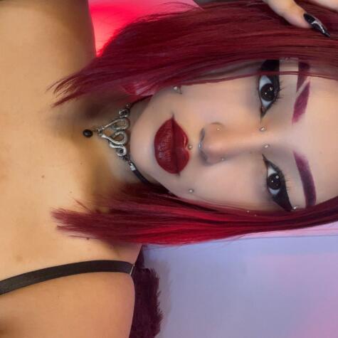 venussdark avatar
