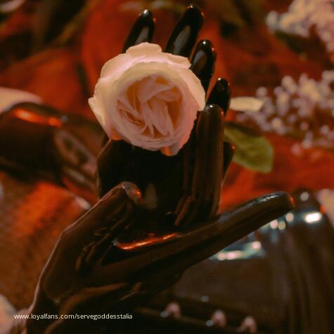 Serve Goddess Talia Gold avatar