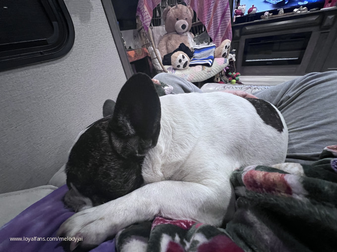 Melody Jai’s Official Social Fan Page LoyalFans