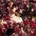 Madame Rebecka avatar