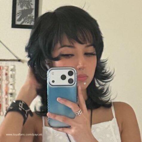 Paycatt avatar