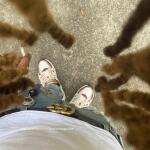 Mr PlatinumBullet avatar