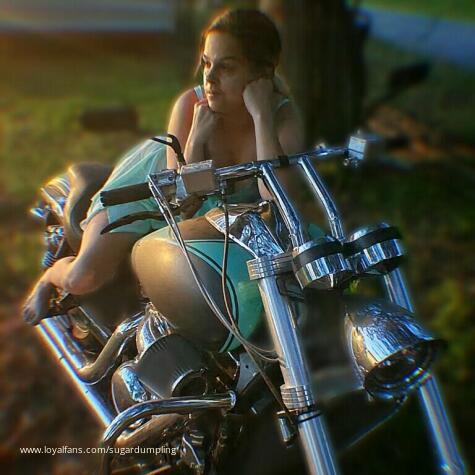 Sugar dumpling avatar