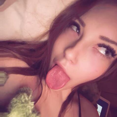MissDylan avatar