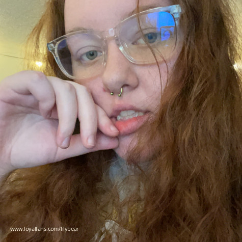 lilybear avatar