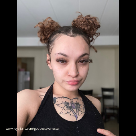 Vanessa Knox avatar