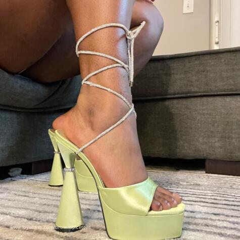Brownspicetoes avatar