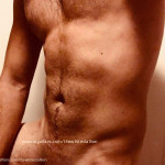 The White Stallion avatar