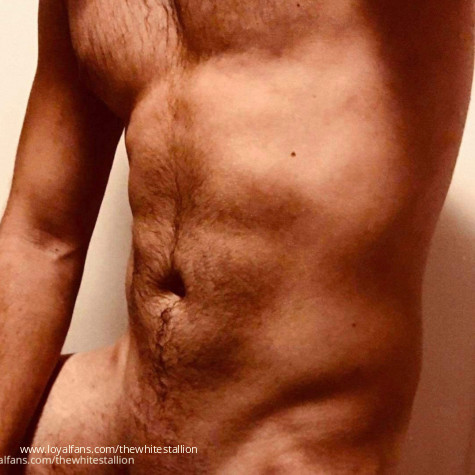 The White Stallion avatar