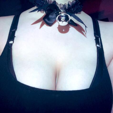 velvetpurrfect avatar