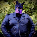 Calipup avatar